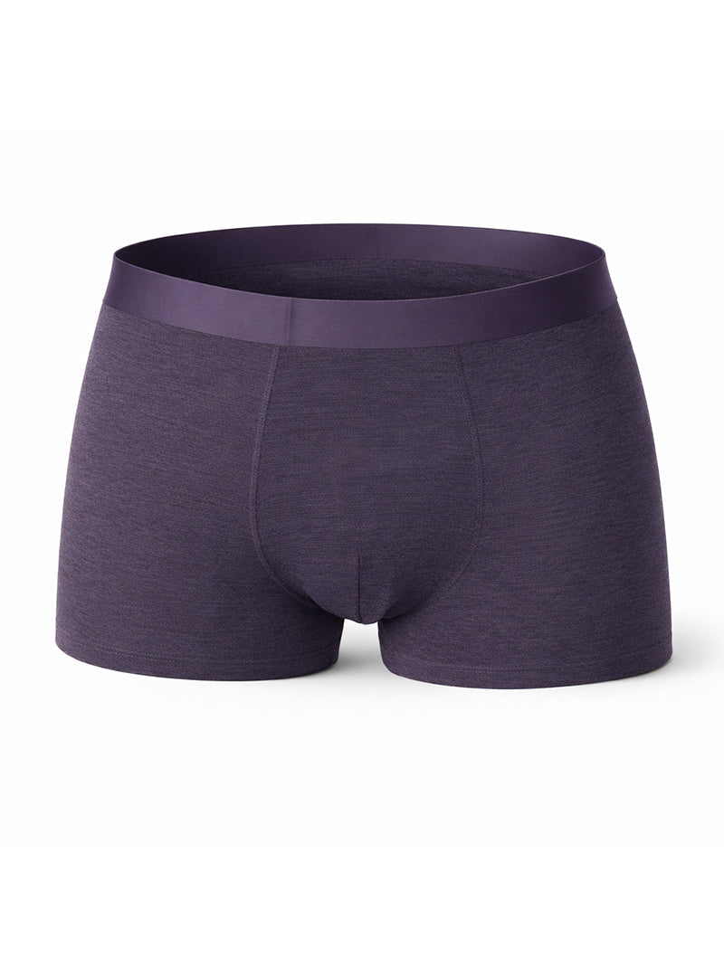 Andrew Velasco Men's Essential Sheer Trunk