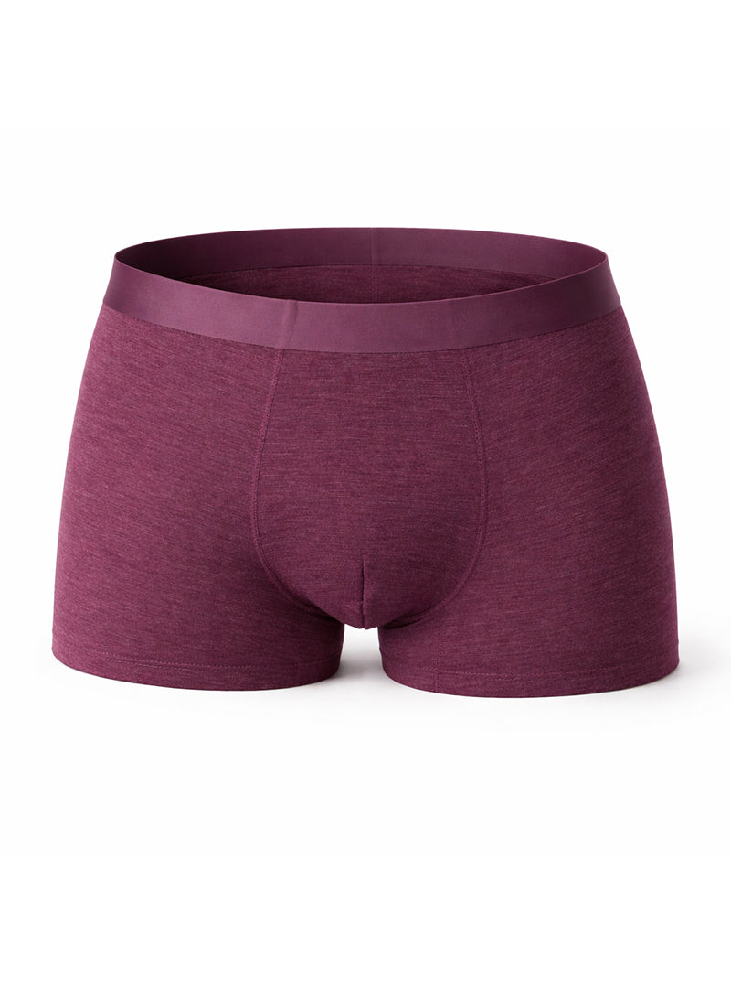 Andrew Velasco Men's Essential Sheer Trunk