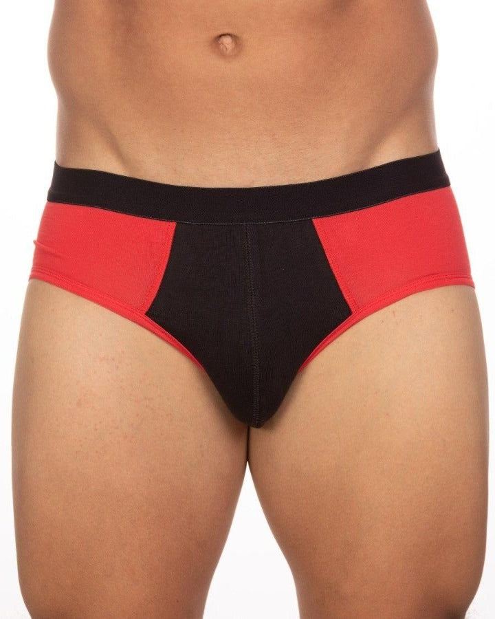 BASIX STAN BRIEF - DealByEthan.gay loves PIASAA