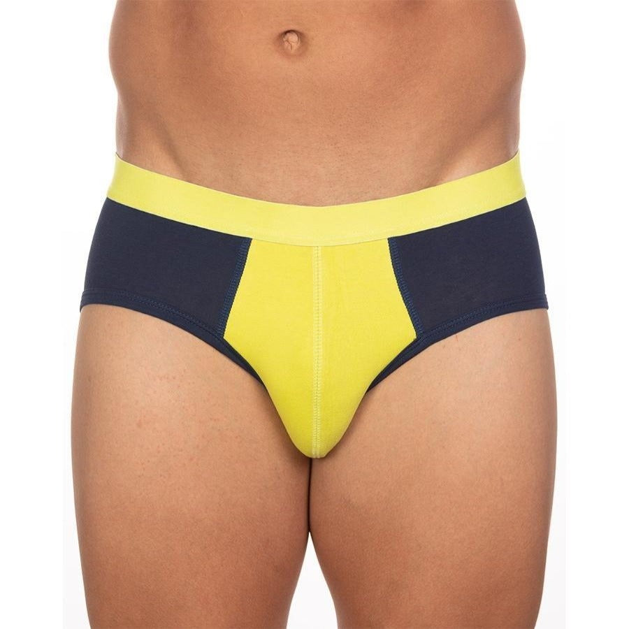 BASIX STAN BRIEF