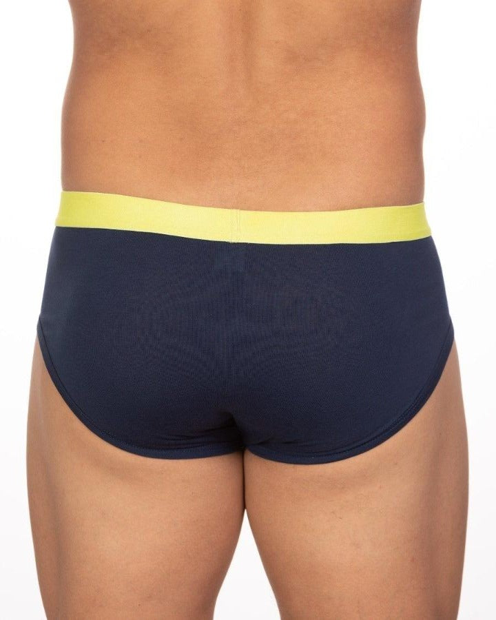 BASIX STAN BRIEF