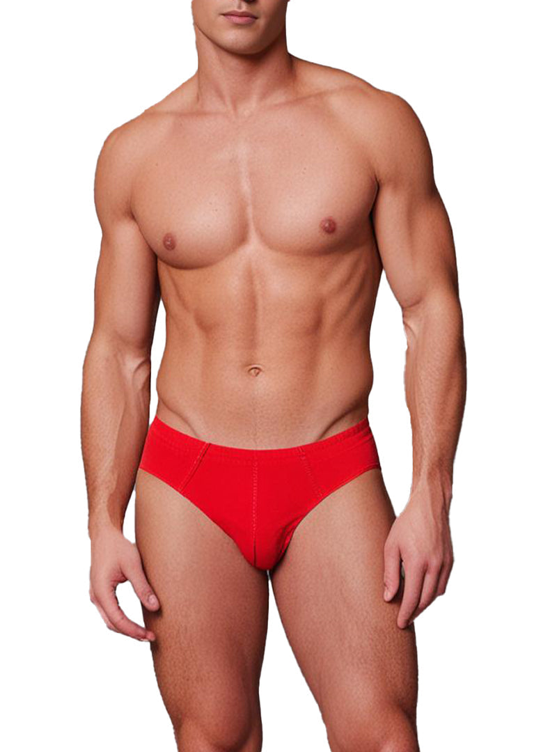 Basics Cotton Brief