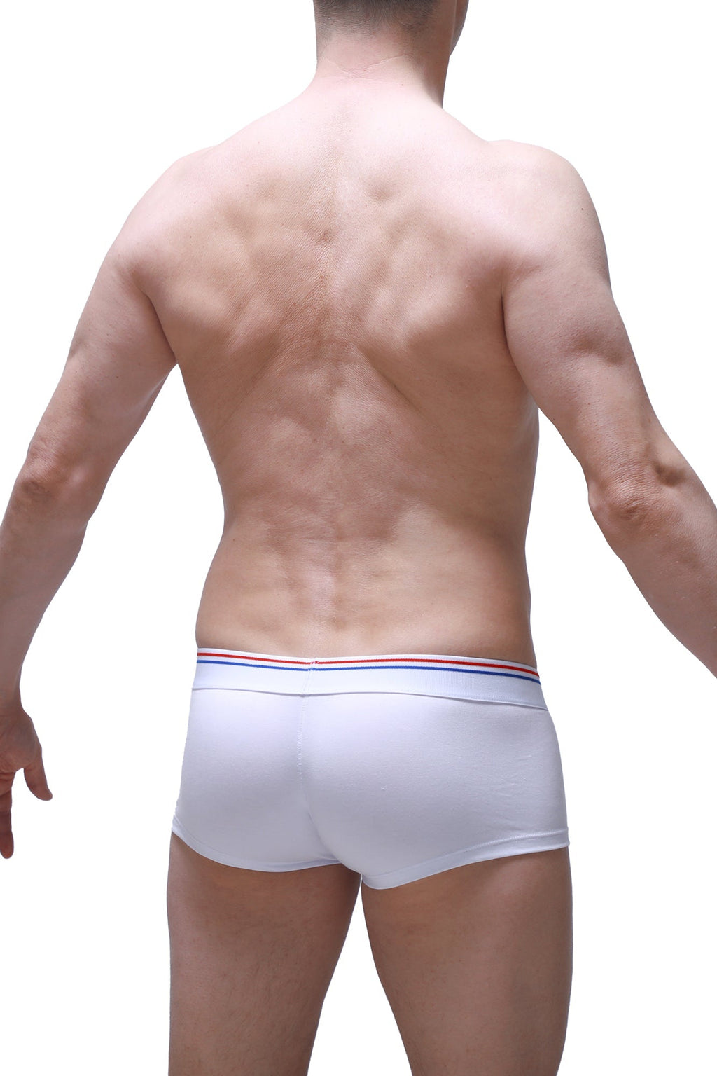 Boxer Algun White - DealByEthan.gay loves PetitQ