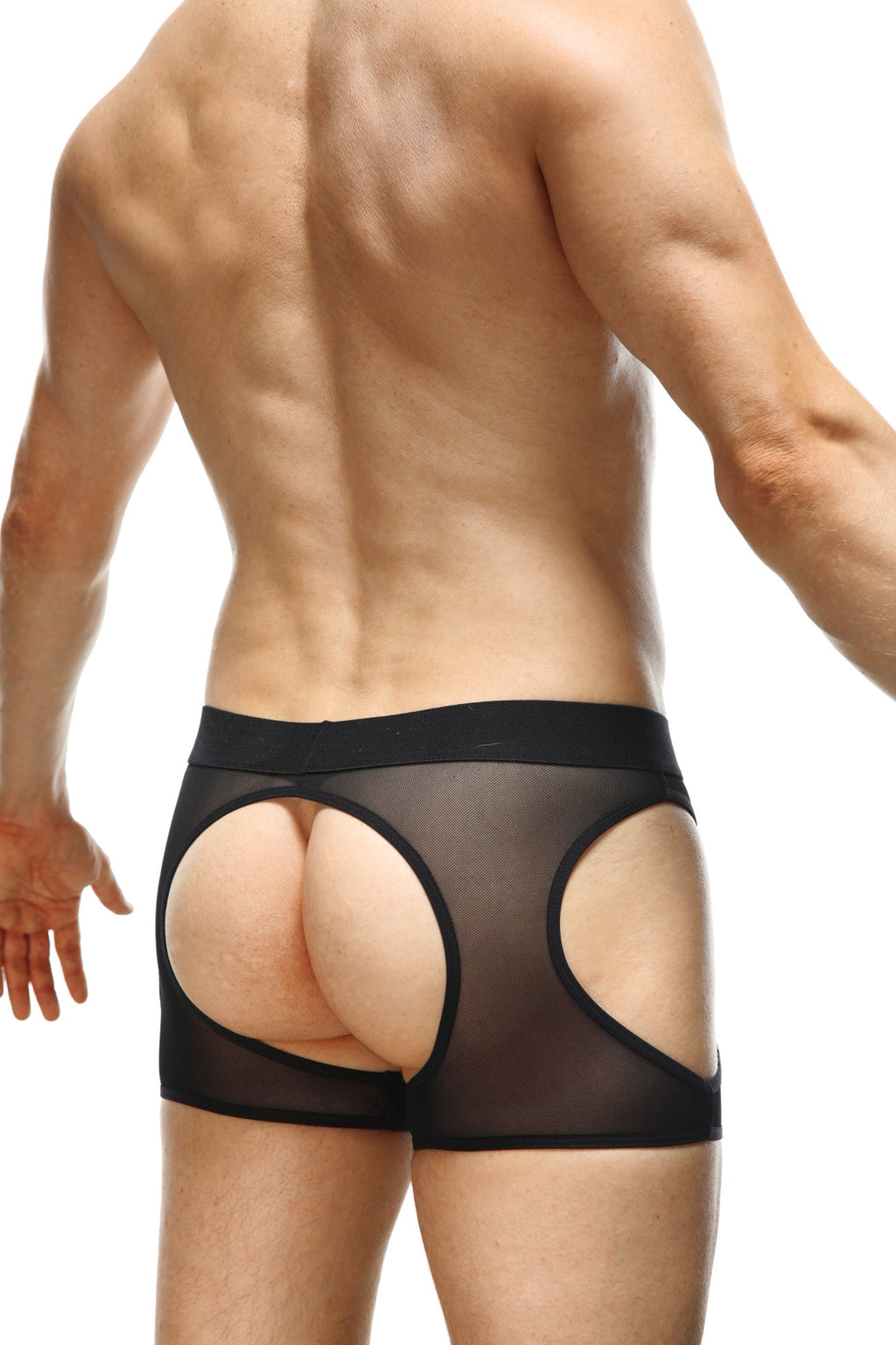 Boxer Mauny Jack-O-Lantern - DealByEthan.gay loves PetitQ