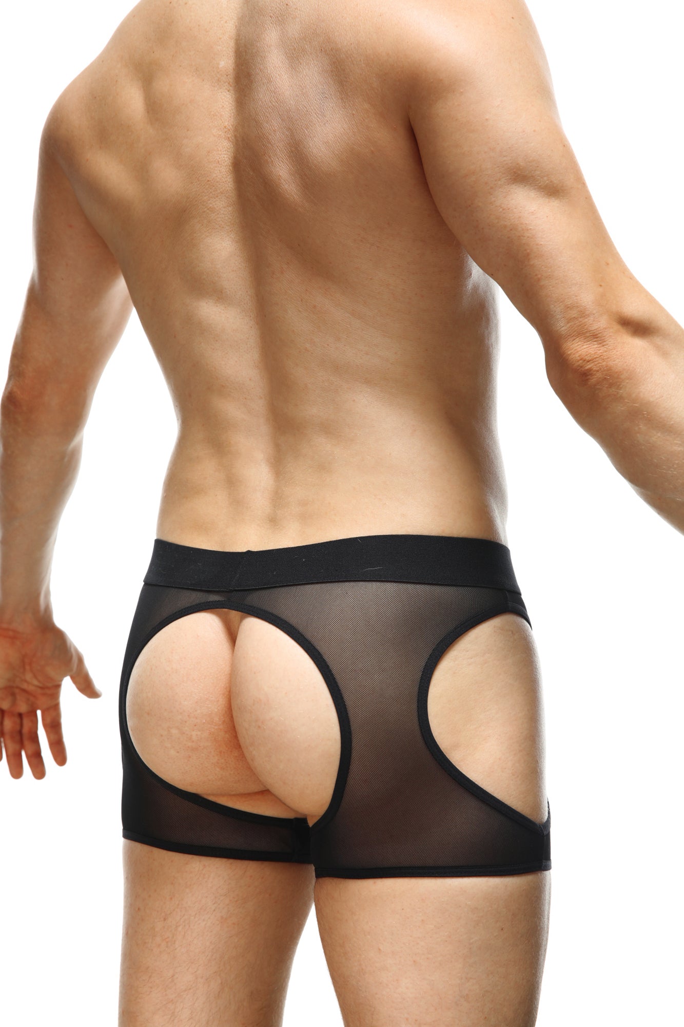 Boxer Mauny Jack-O-Lantern - DealByEthan.gay loves PetitQ