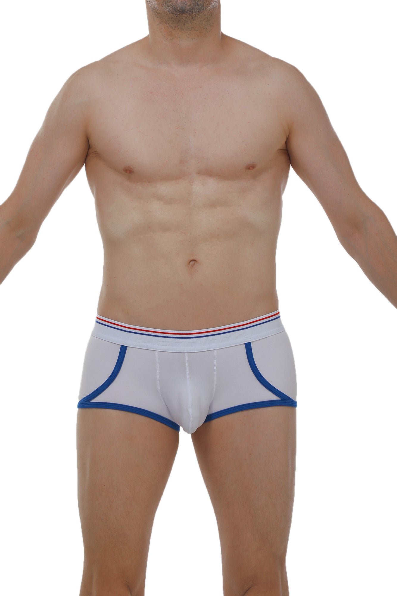 Boxer Morrier White - DealByEthan.gay loves PetitQ