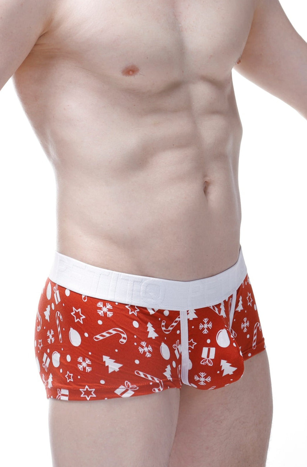 Boxer Noel - DealByEthan.gay loves PetitQ