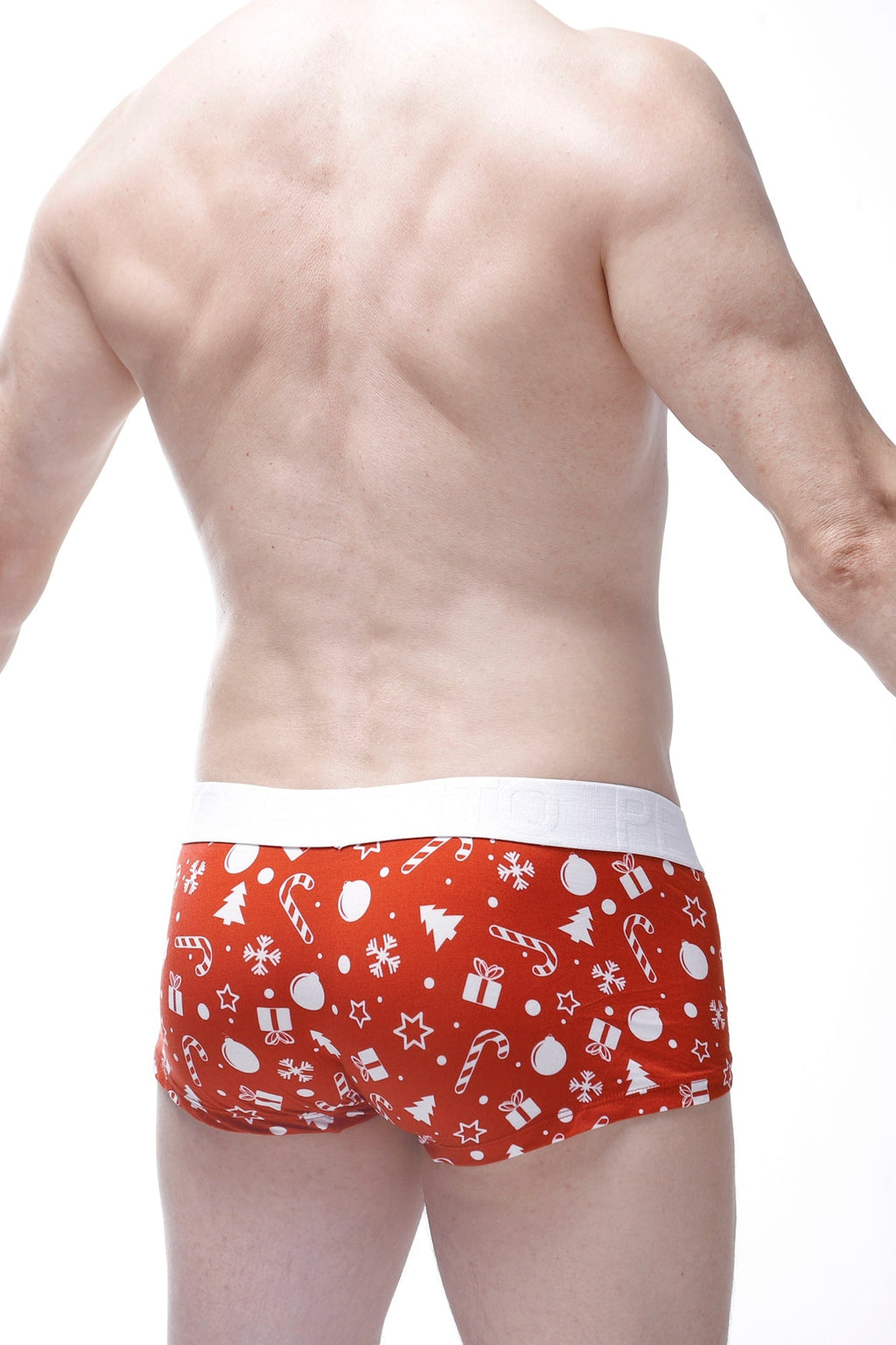 Boxer Noel - DealByEthan.gay loves PetitQ