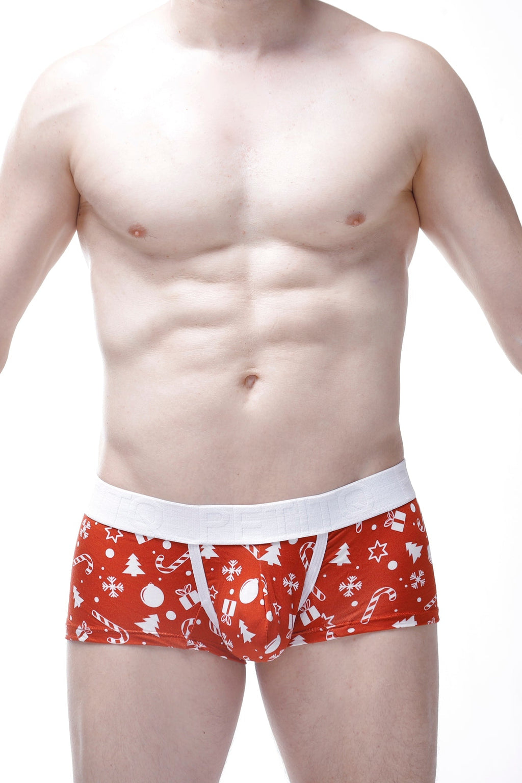 Boxer Noel - DealByEthan.gay loves PetitQ