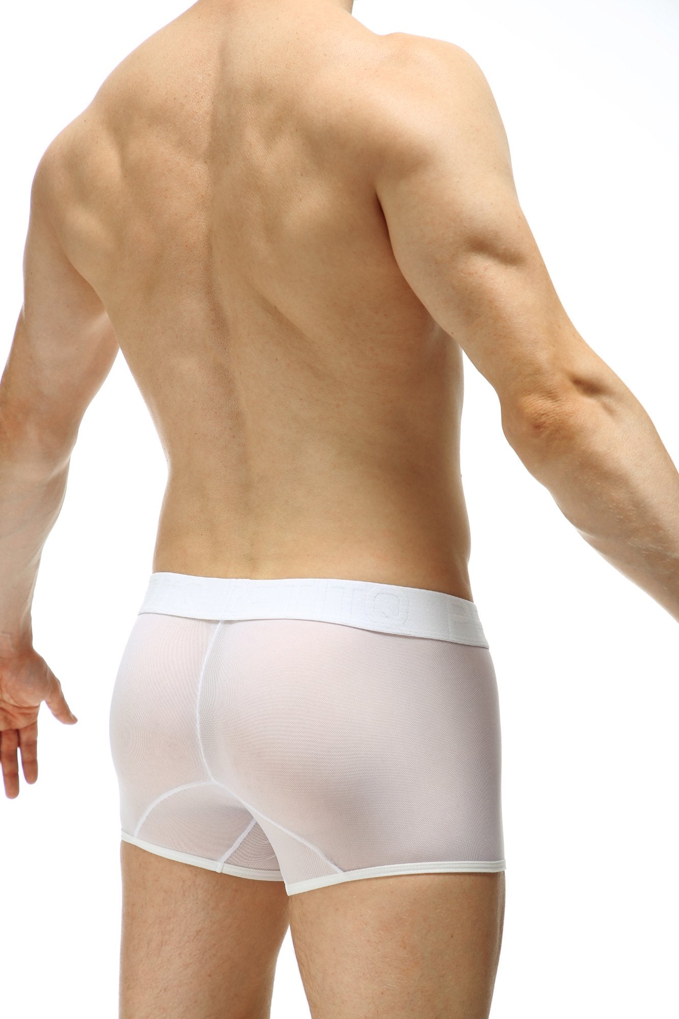 Boxer Percey Jultre - DealByEthan.gay loves PetitQ
