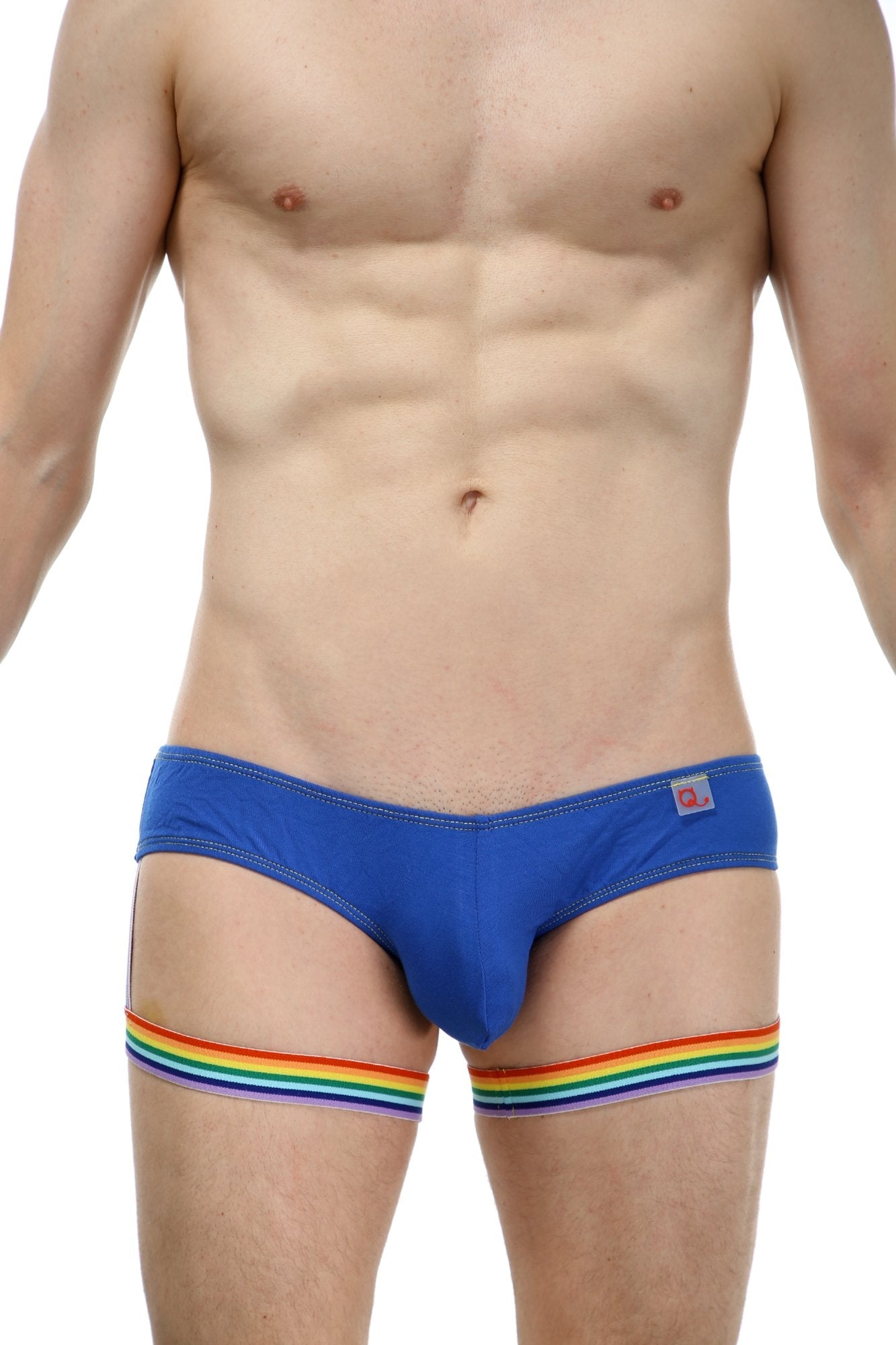 Brief Ciers Bamboo Rainbow - DealByEthan.gay loves PetitQ