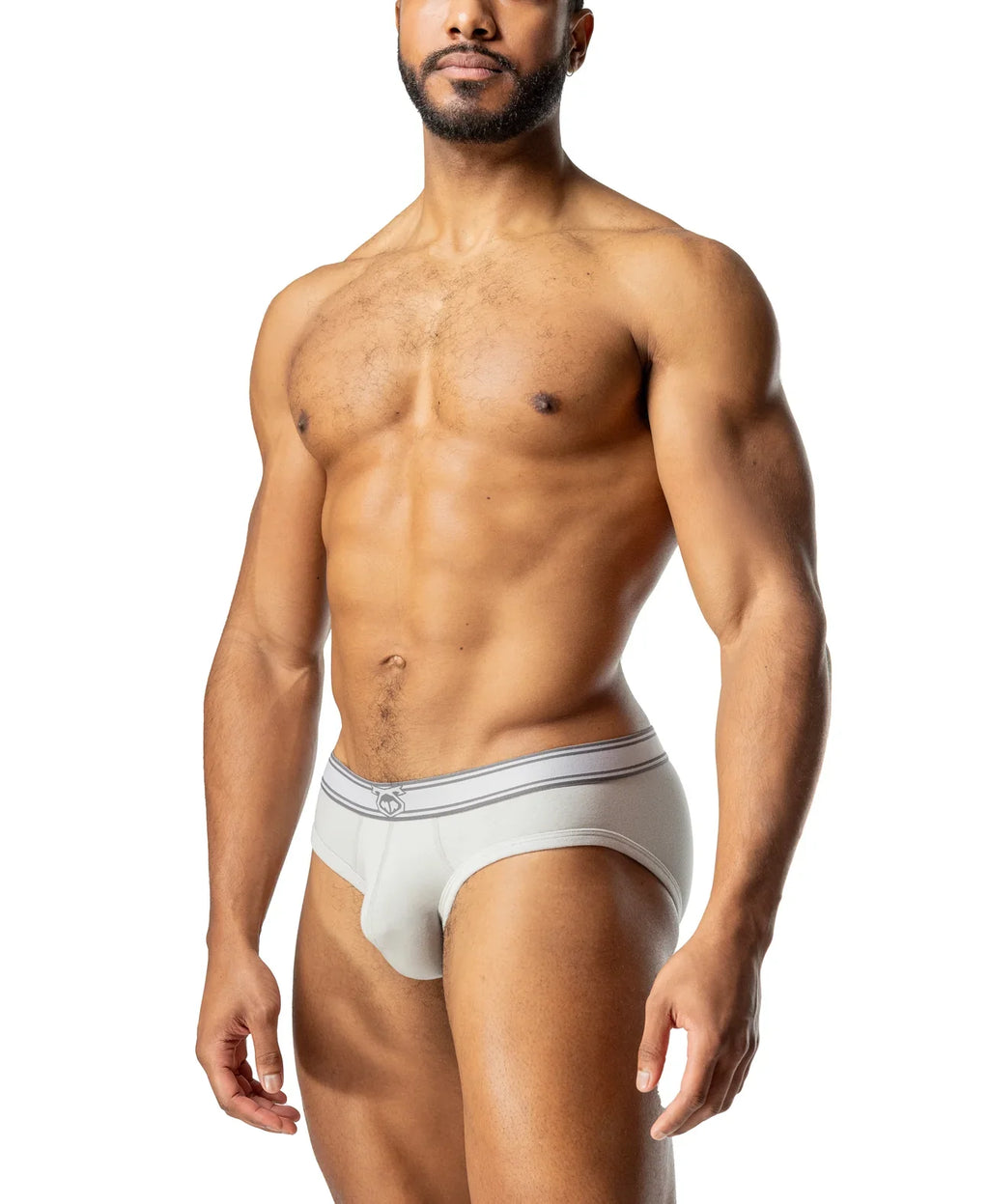 CORE Y-FRONT BRIEF - DealByEthan.gay loves Nasty Pig