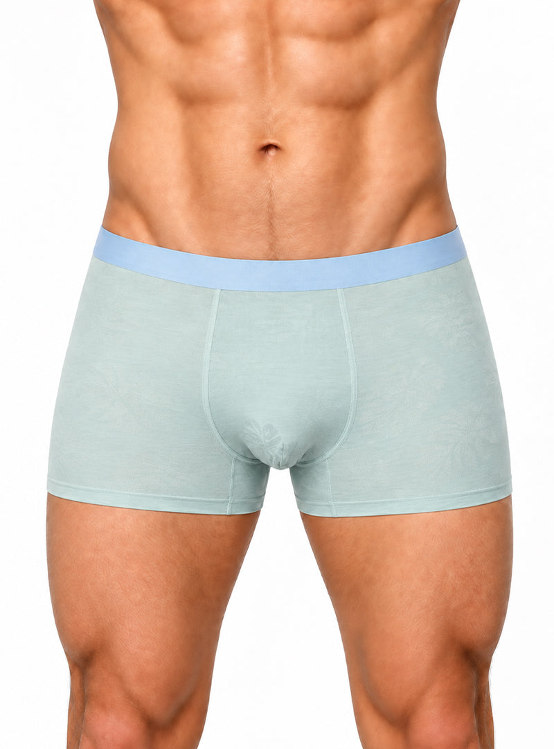 Andrew Velasco Men's Classic Silk Trunk