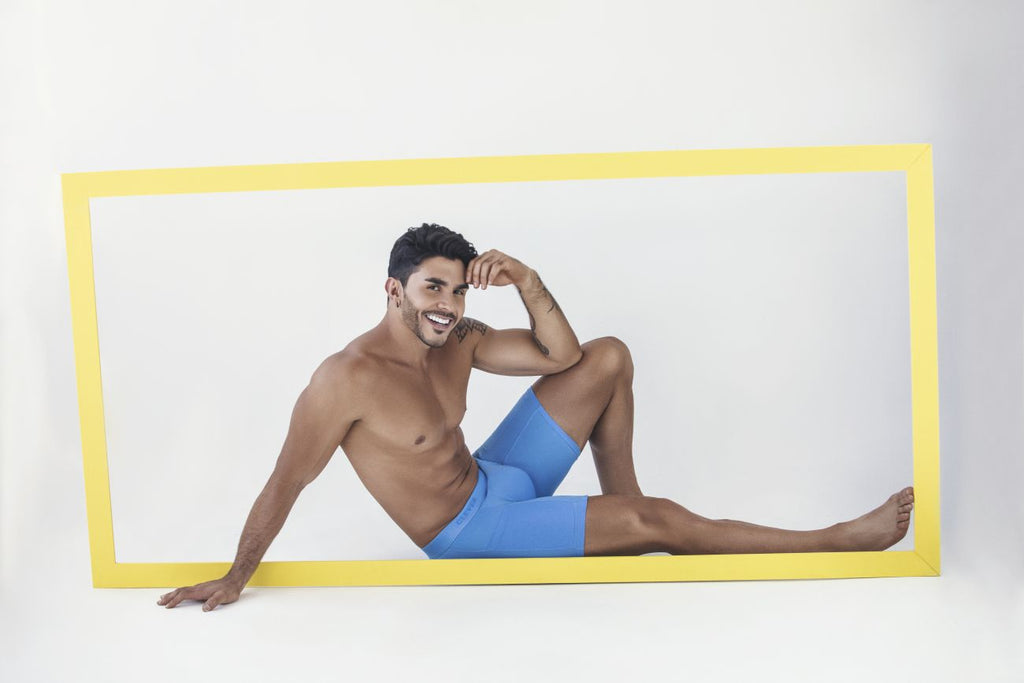 Clever 1528 Arctic Boxer Briefs Color Blue - DealByEthan.gay loves Clever