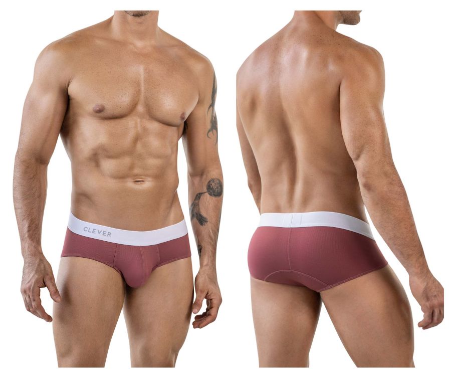 Clever 1863 Lecler Briefs Color Grape - DealByEthan.gay loves Clever