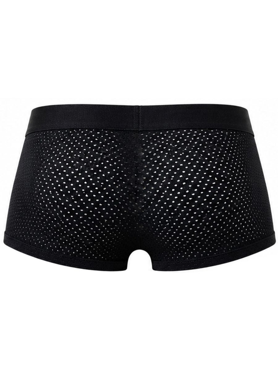 Black mesh trunks shown from the back against a white background.