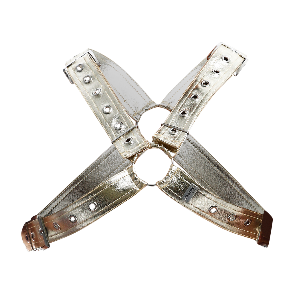 DNGEON CLASSIC CROSS HARNESS -Mirror-