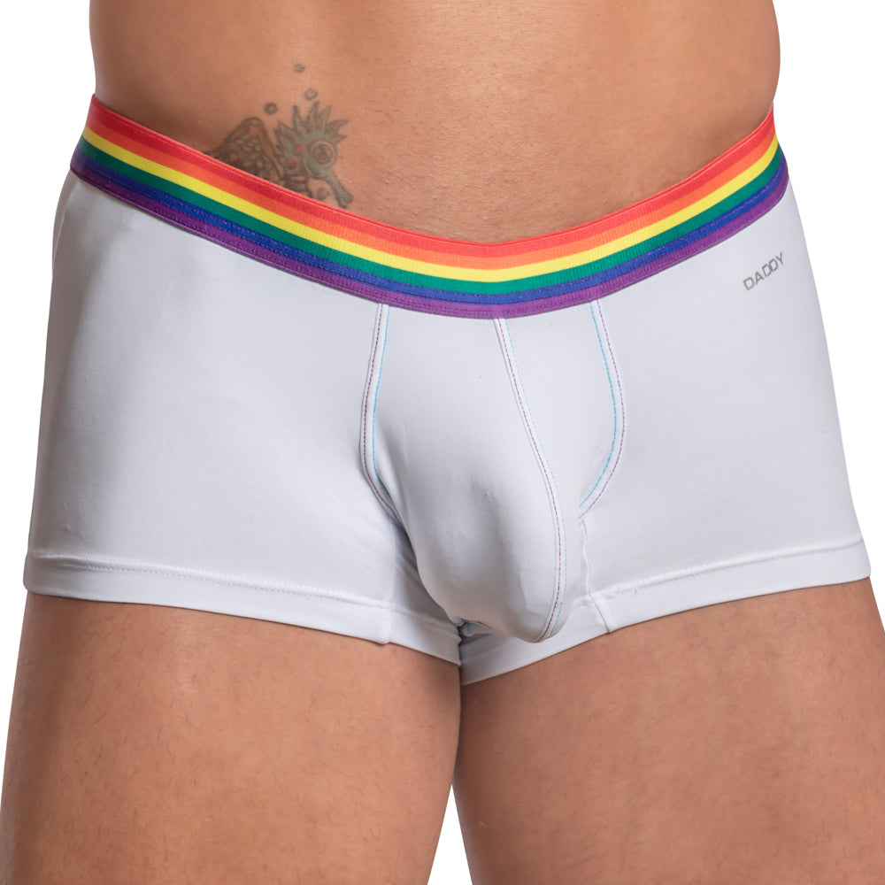 White daddy brand briefs with rainbow-striped elastic waistband in daddy ddg011 boxer style