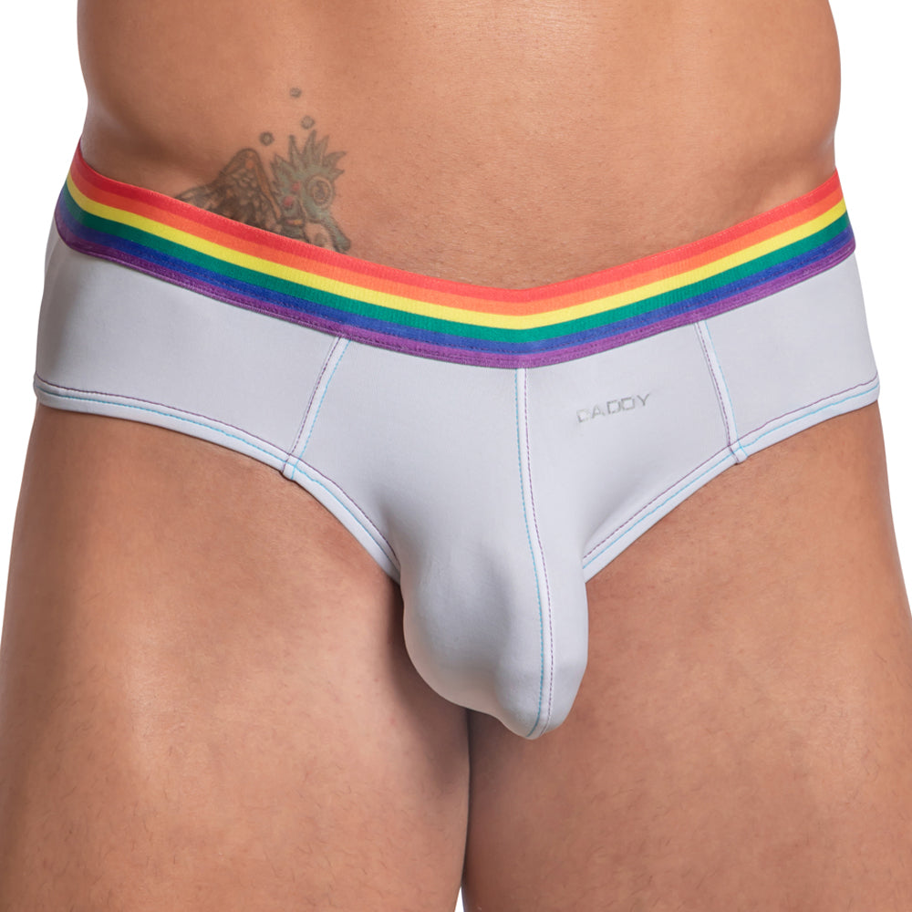 Light gray form-fitting men’s Daddy DDJ027 briefs with rainbow-striped elastic waistband and embroidered brand name on front