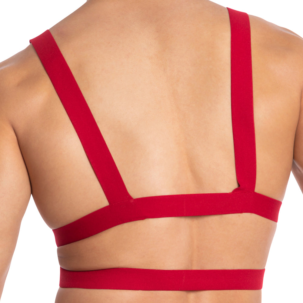 Daddy DDU005 Bodysuit & Harness - DealByEthan.gay loves Daddy Underwear