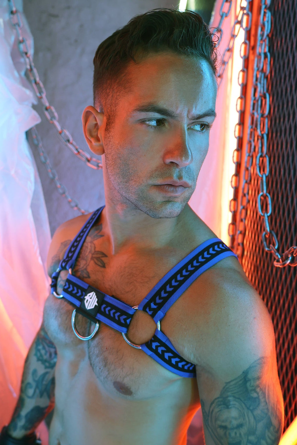 Daddy's Favorite Bulldog Harness - DealByEthan.gay loves Breedwell
