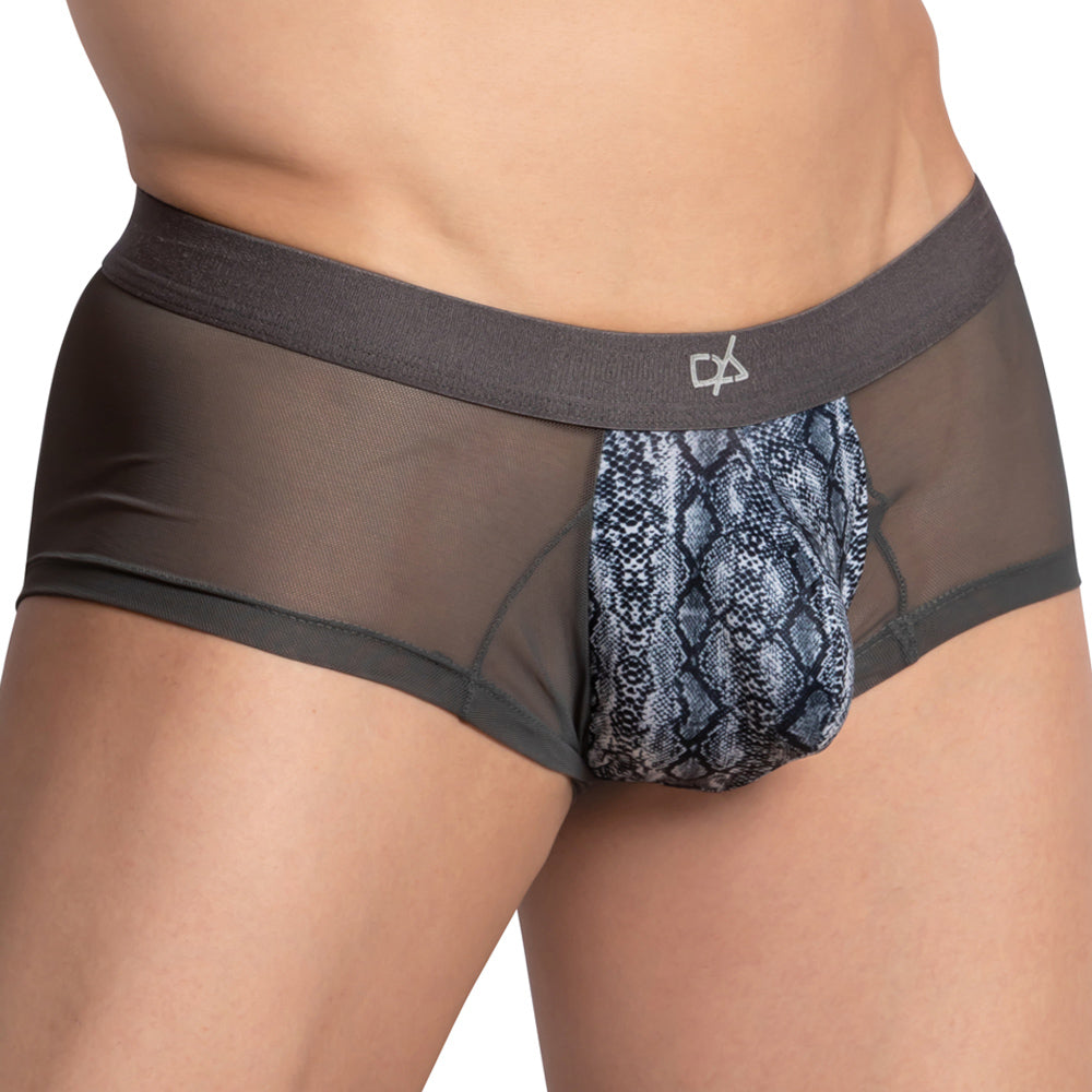Daniel Alexander DAG011 Mesh Side Boxer Trunk - DealByEthan.gay loves Daniel Alexander