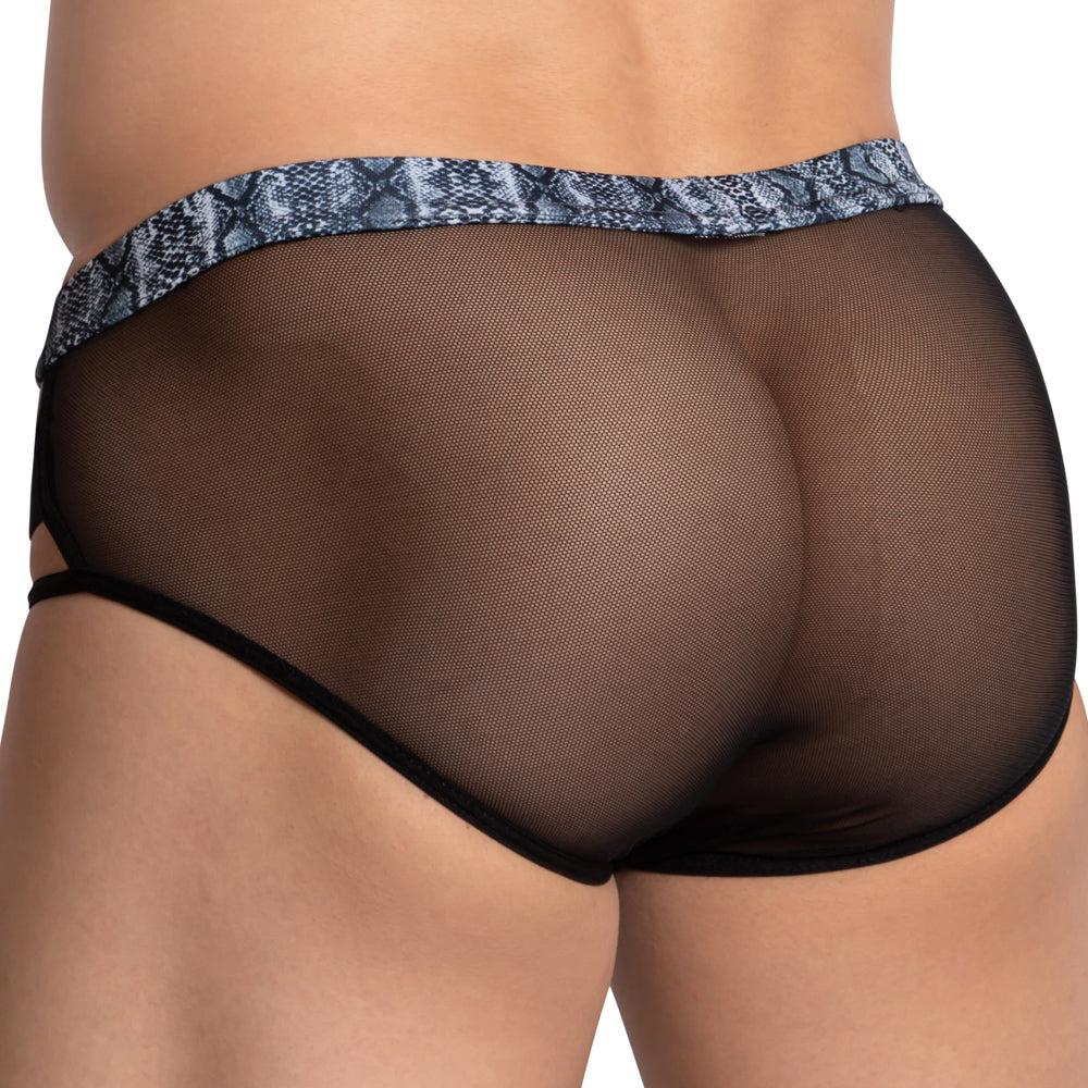 Daniel Alexander DAI088 Visible Side Band Brief - DealByEthan.gay loves Daniel Alexander