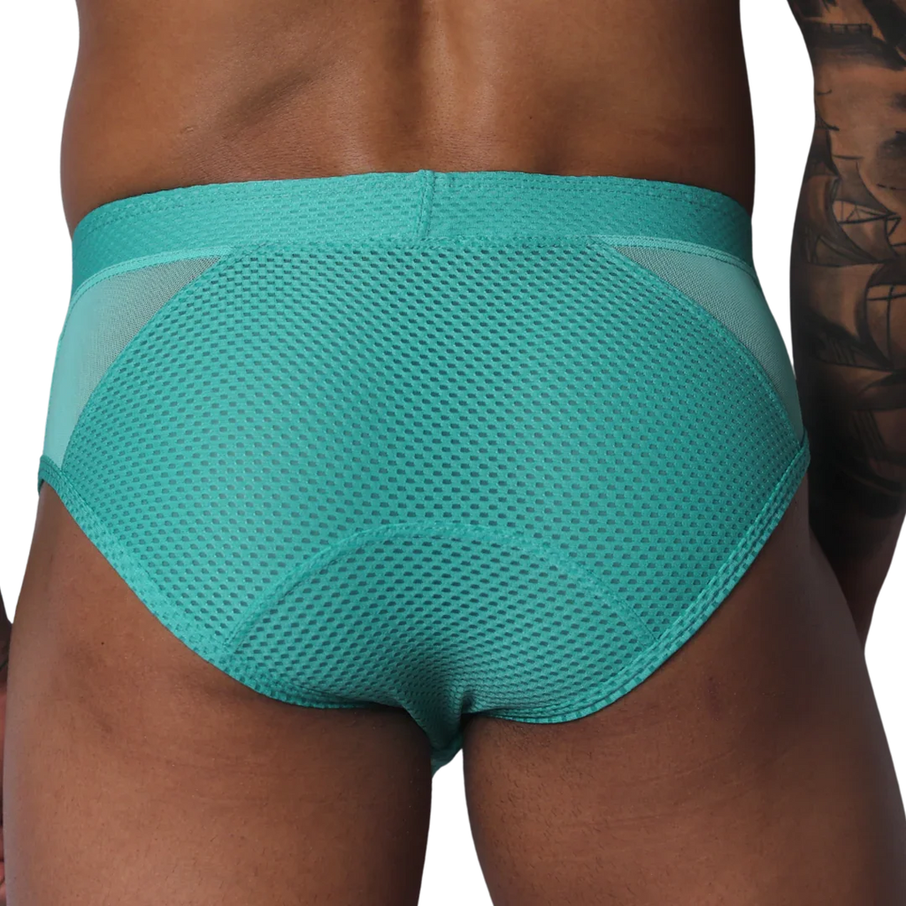 Teal mesh brief with a wide waistband, featuring semi-sheer side panels and a solid center texture.