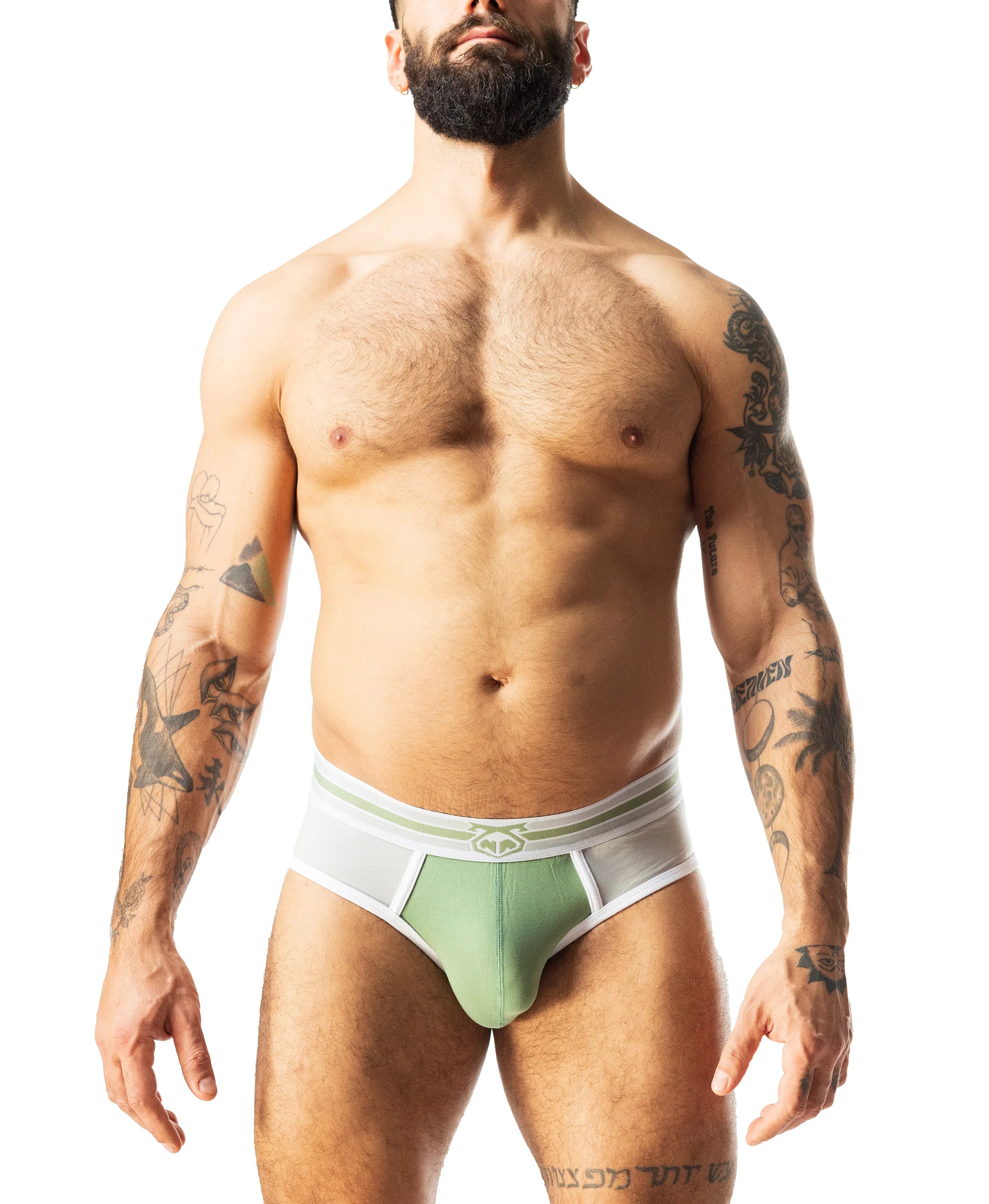 EVOLVE CLASSIC BRIEF - DealByEthan.gay loves Nasty Pig