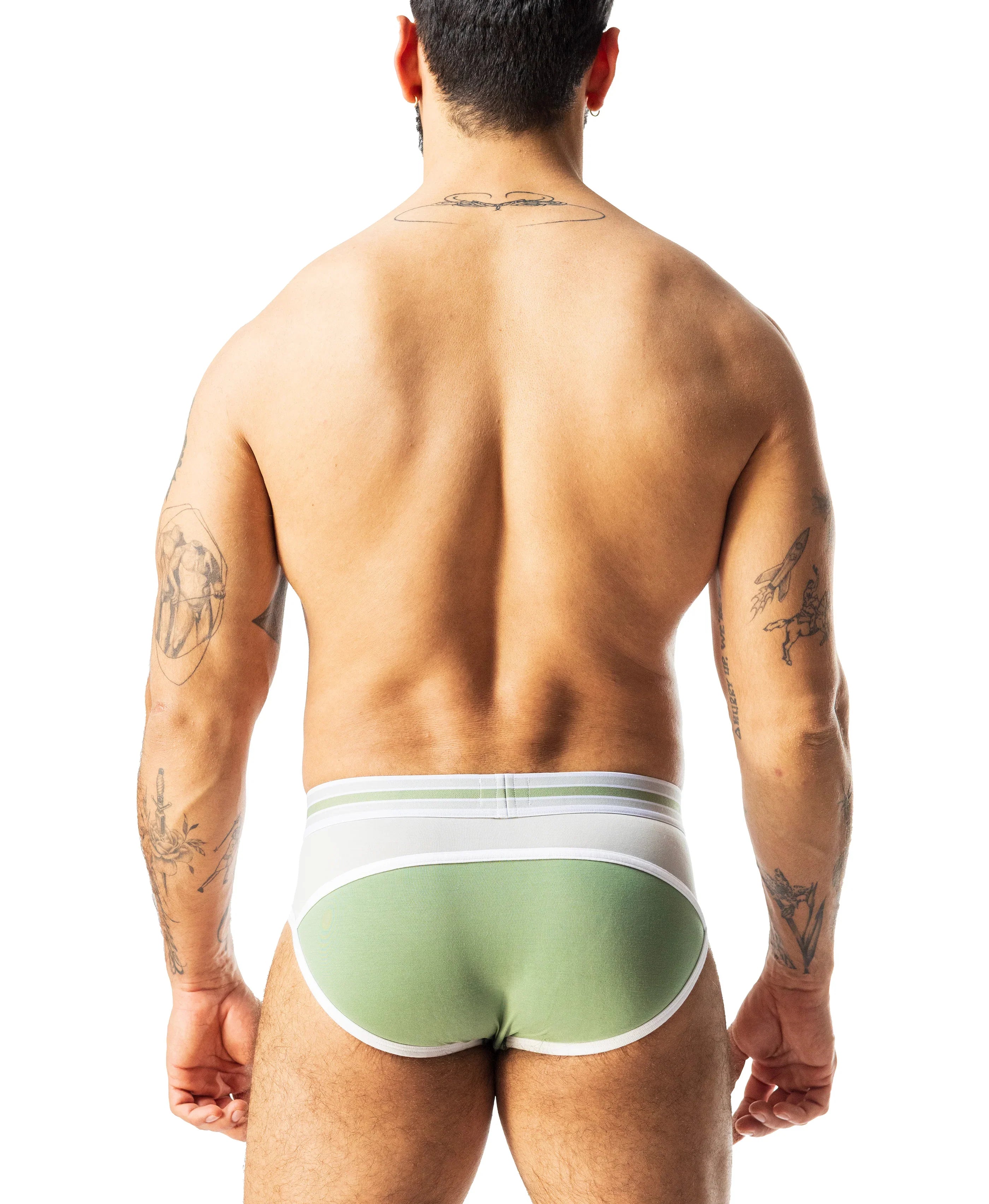 EVOLVE CLASSIC BRIEF - DealByEthan.gay loves Nasty Pig