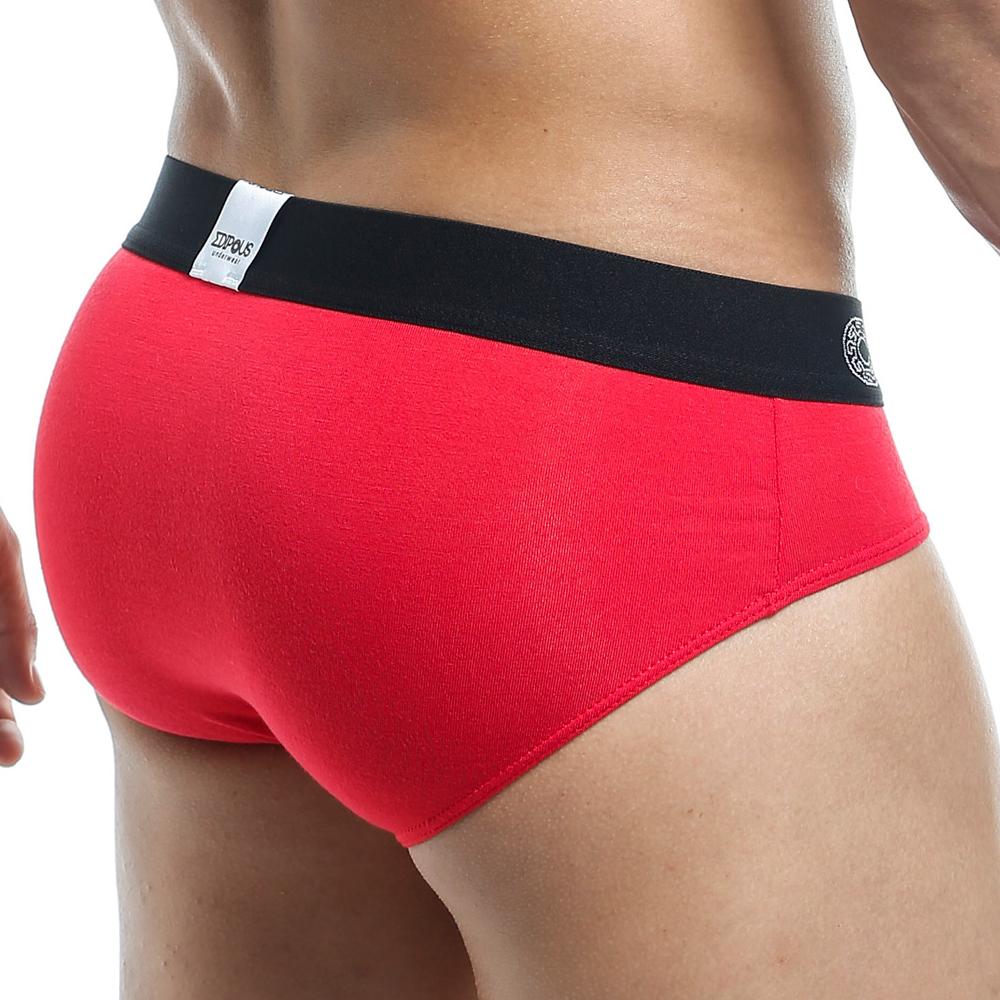 Edipous EDI009 Brief - DealByEthan.gay loves Edipous