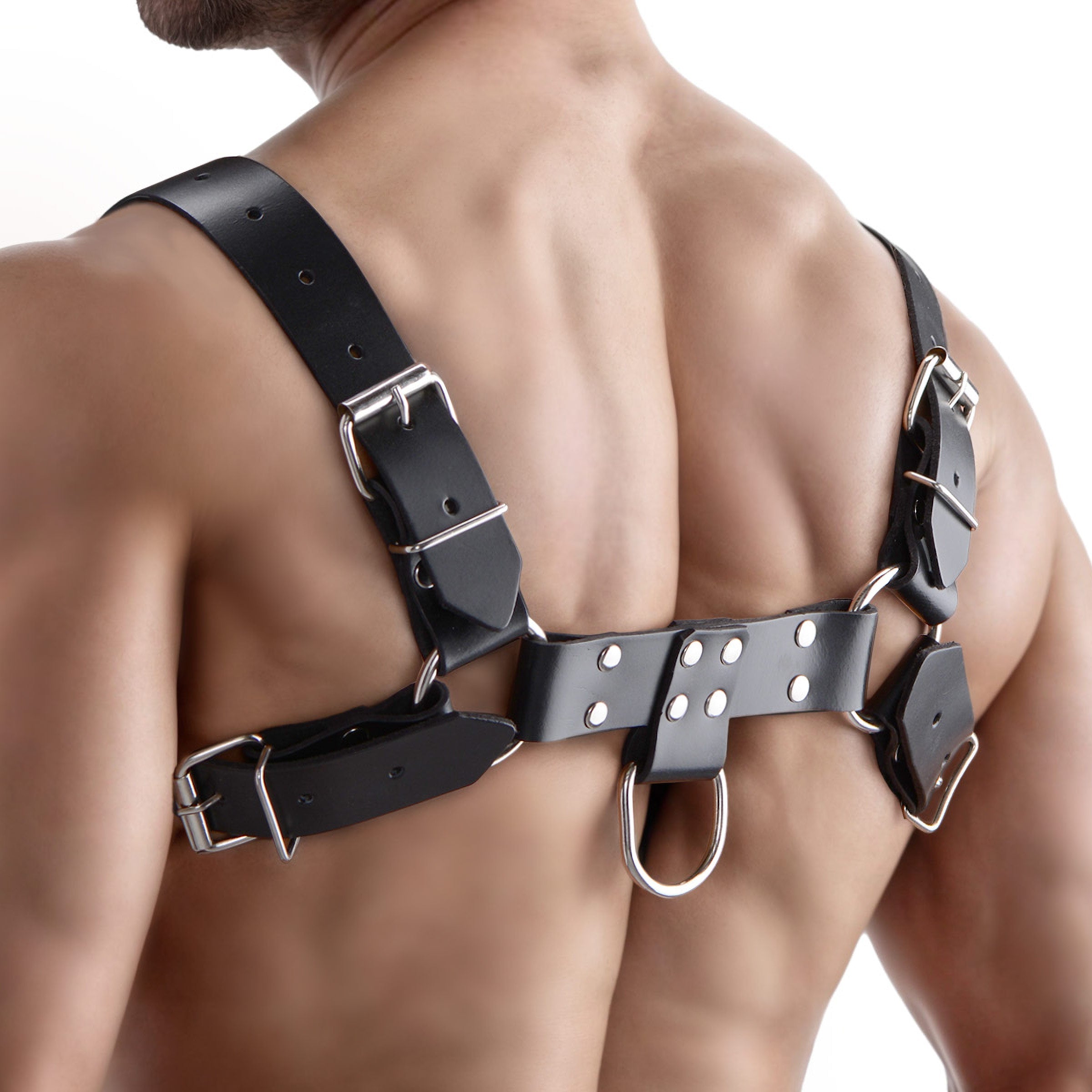 English Bull Dog Harness - DealByEthan.gay loves Strict Leather