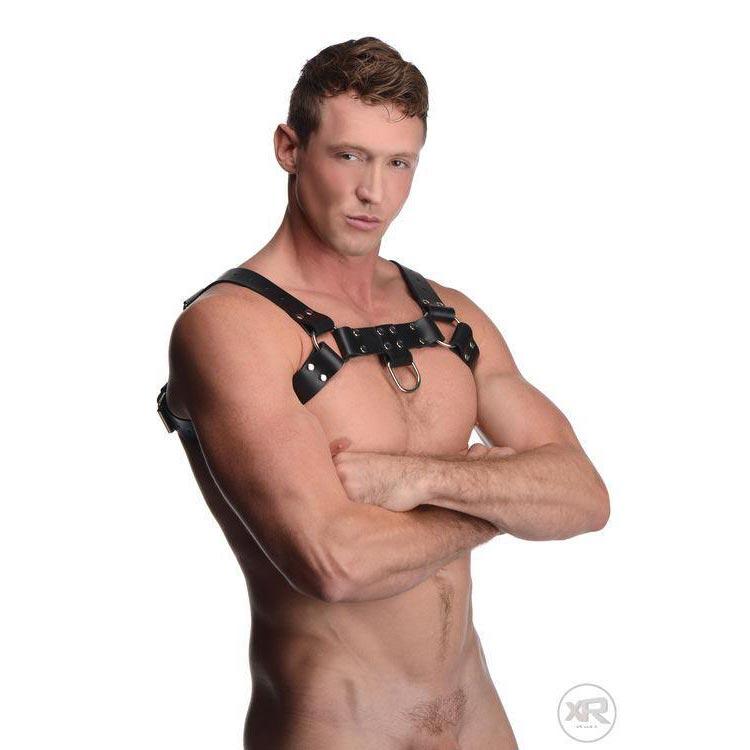 English Bull Dog Harness with Cock Strap - DealByEthan.gay loves Strict Leather