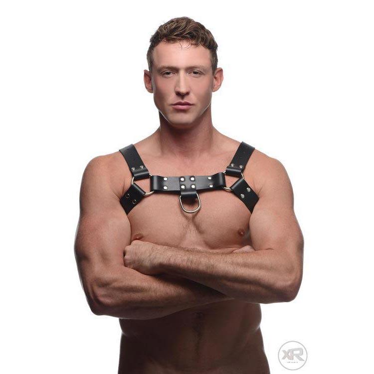 English Bull Dog Harness with Cock Strap - DealByEthan.gay loves Strict Leather