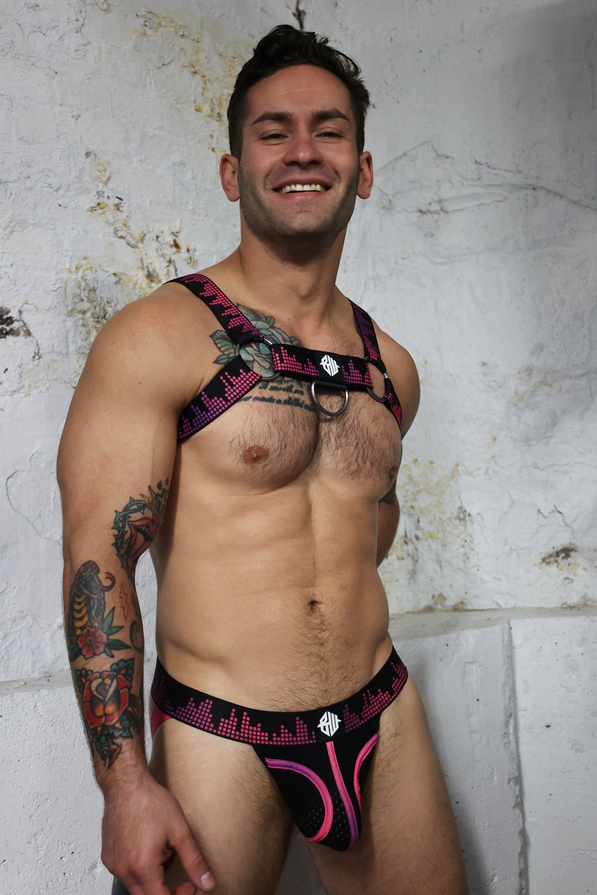 Equalizer Bulldog Harness - DealByEthan.gay loves Breedwell
