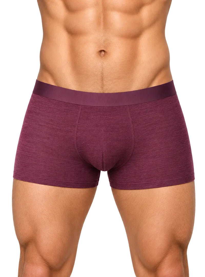 Andrew Velasco Men's Essential Sheer Trunk