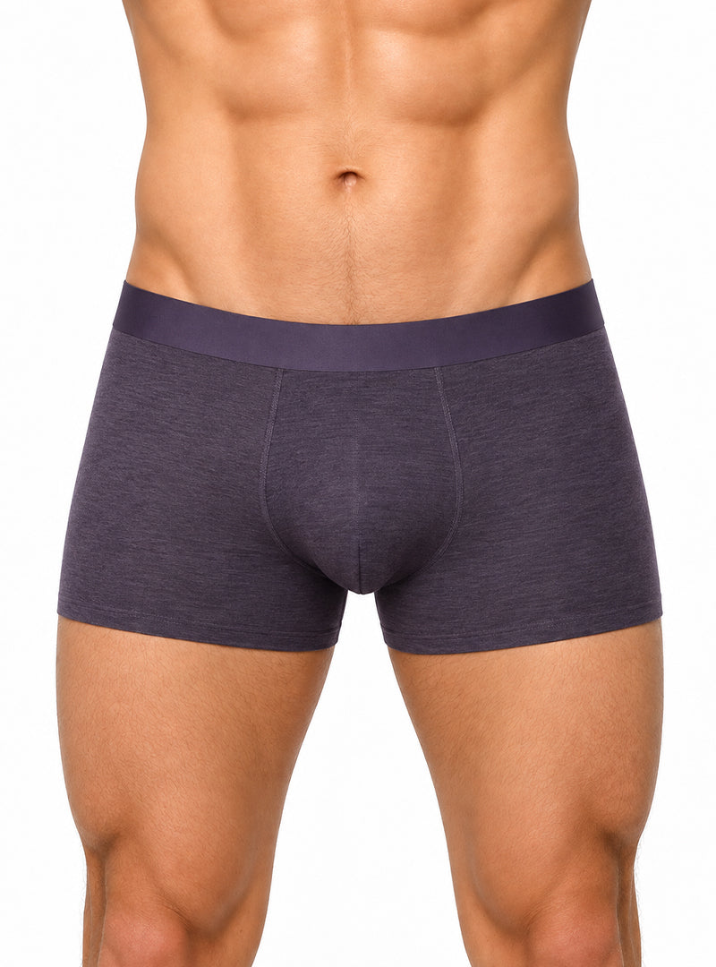 Andrew Velasco Men's Essential Sheer Trunk