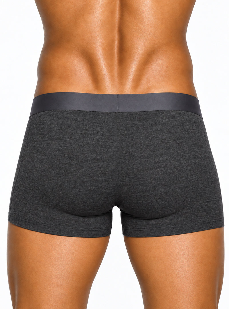 Andrew Velasco Men's Essential Sheer Trunk
