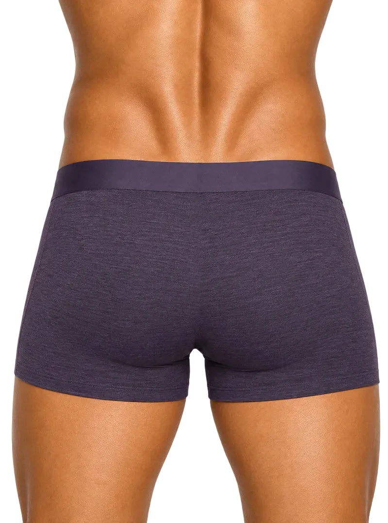 Andrew Velasco Men's Essential Sheer Trunk