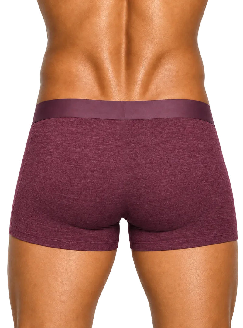 Andrew Velasco Men's Essential Sheer Trunk