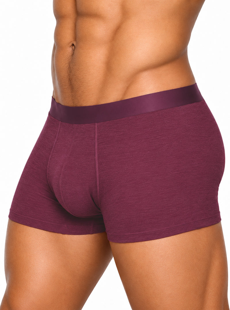 Andrew Velasco Men's Essential Sheer Trunk