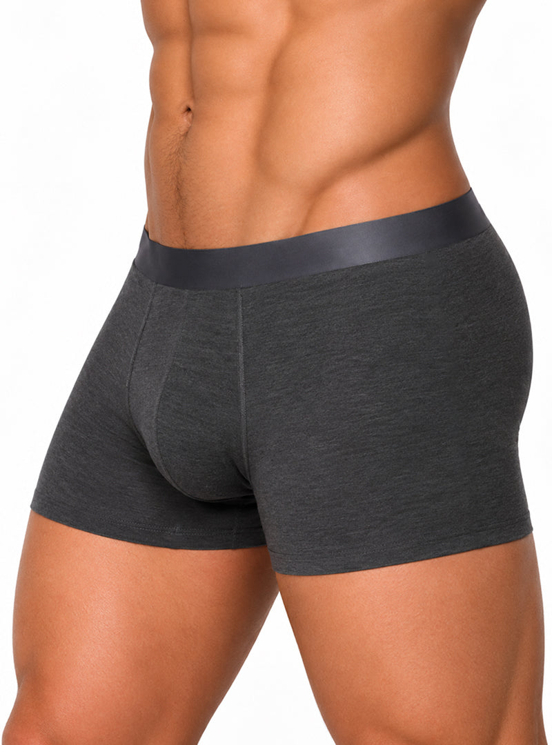 Andrew Velasco Men's Essential Sheer Trunk