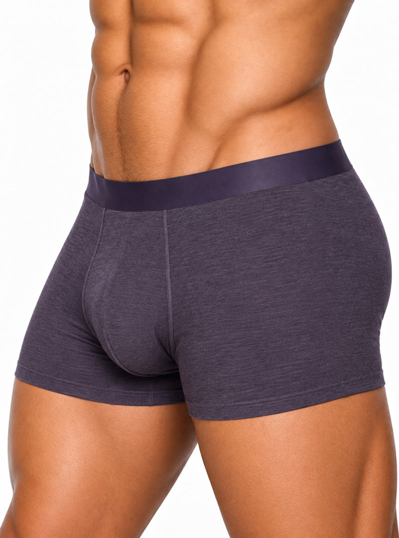 Andrew Velasco Men's Essential Sheer Trunk