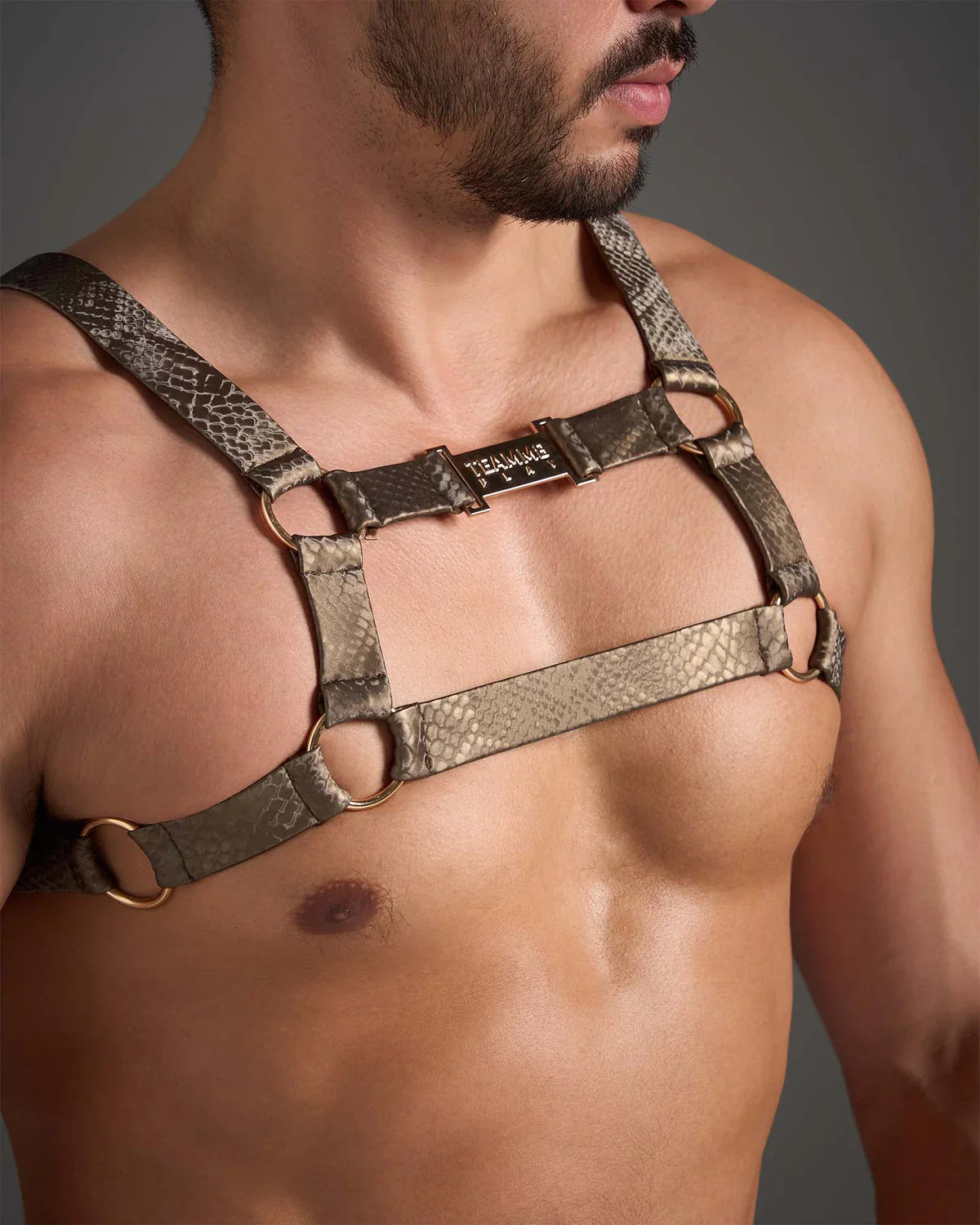 FLEX HARNESS - DealByEthan.gay loves Teamm8
