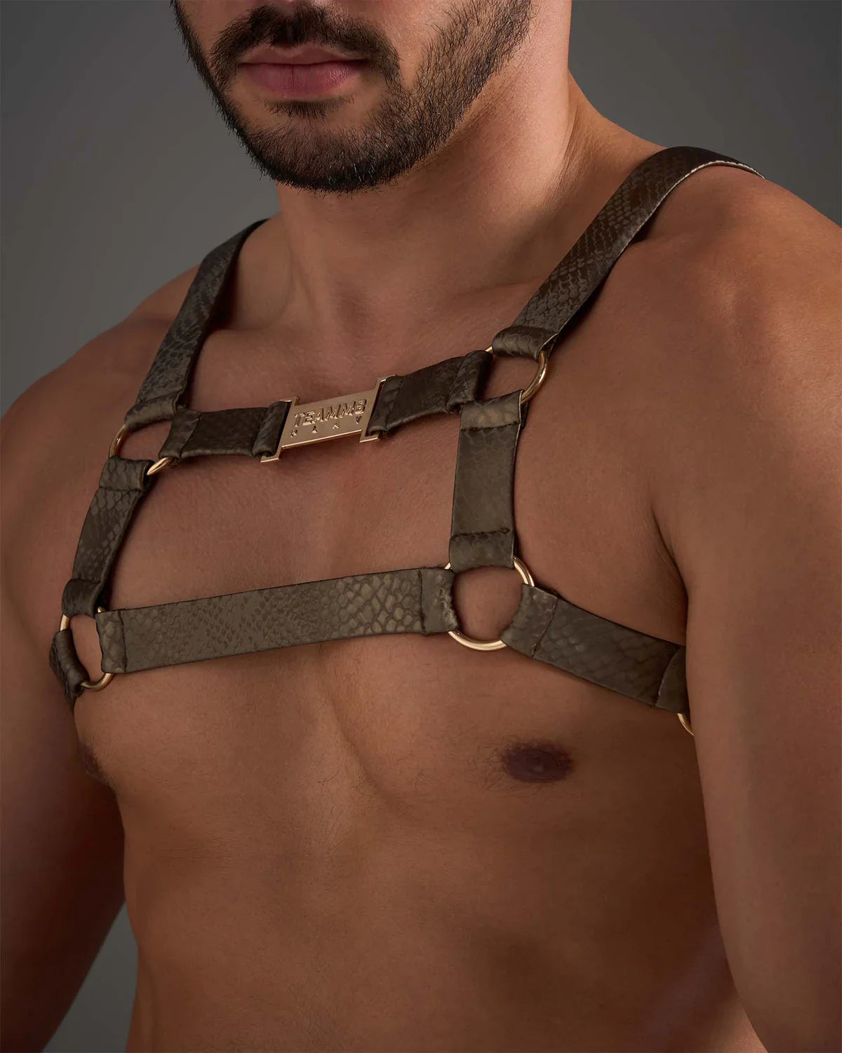 FLEX HARNESS - DealByEthan.gay loves Teamm8