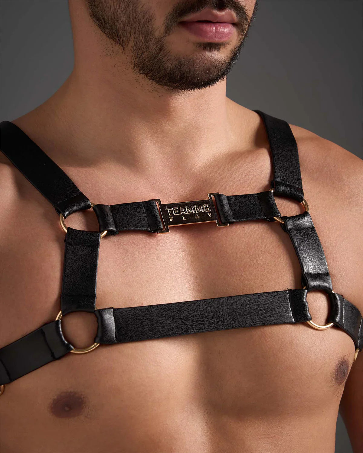 FLEX HARNESS - DealByEthan.gay loves Teamm8