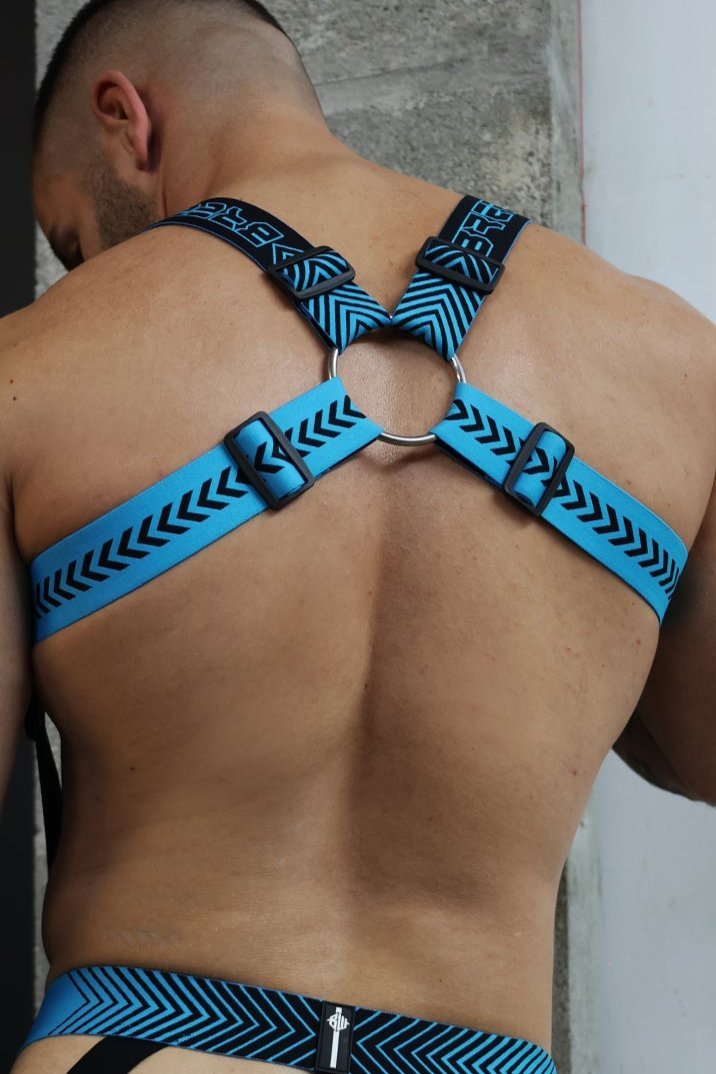 Futura body harness with blue and black chevron pattern adjustable straps and central metal ring for secure fit