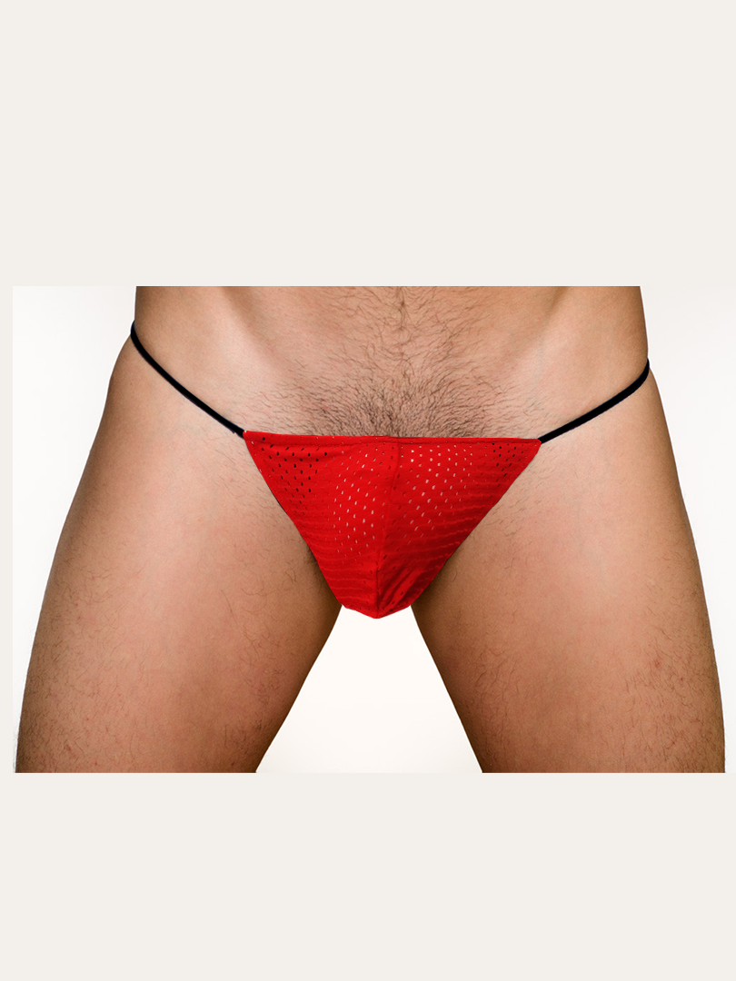 Tanga de malla Pride