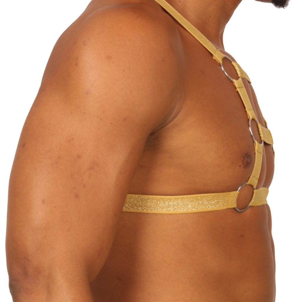 Gigo Hit Gold Harness - DealByEthan.gay loves Gigo Underwear