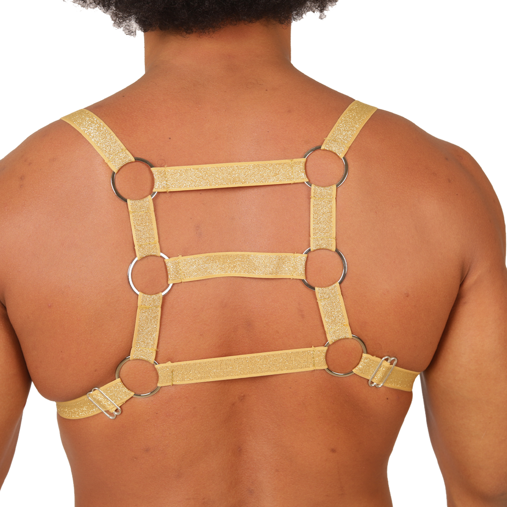 Gigo Hit Gold Harness - DealByEthan.gay loves Gigo Underwear